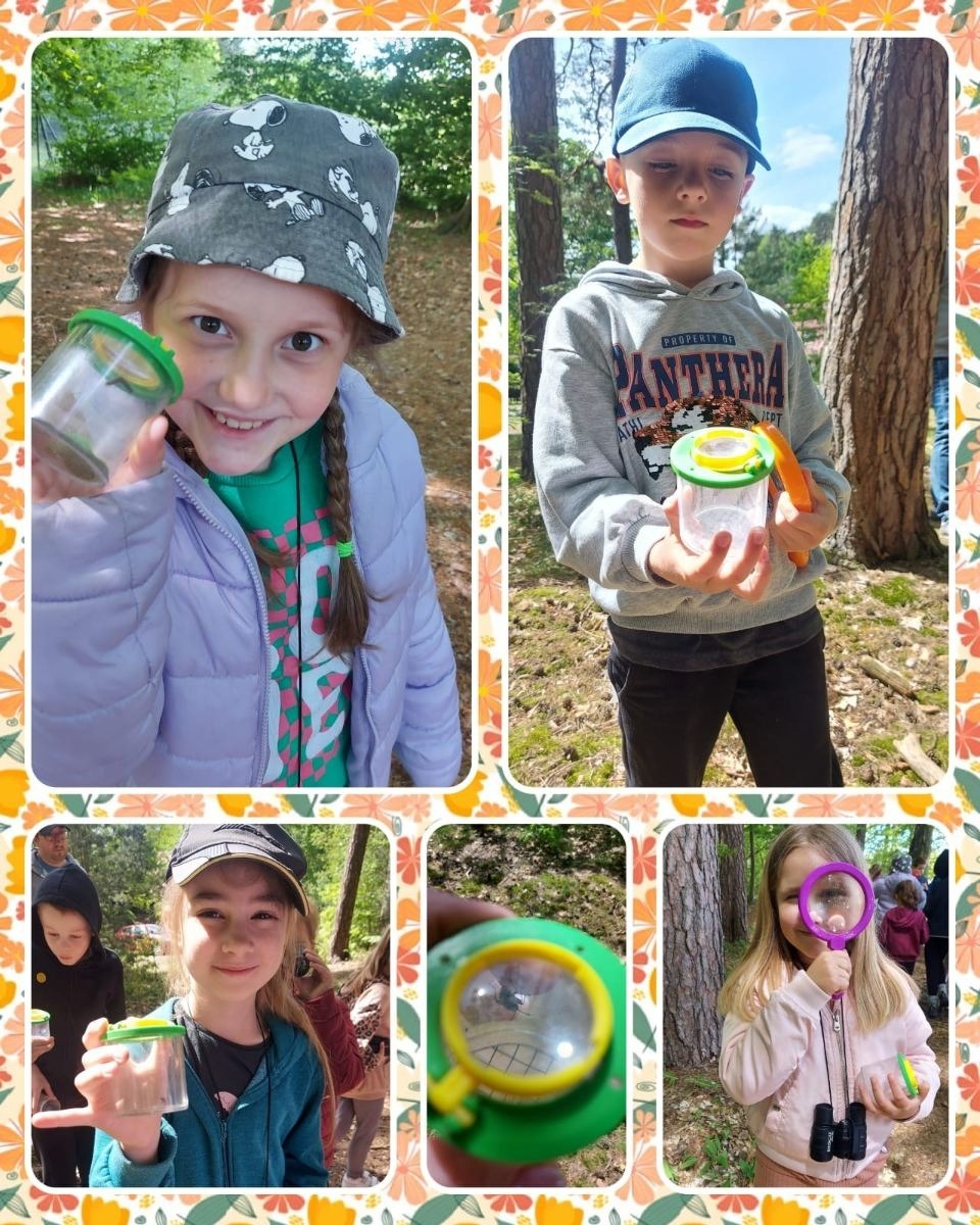 różne formy uczestnictwa w zielonej szkole