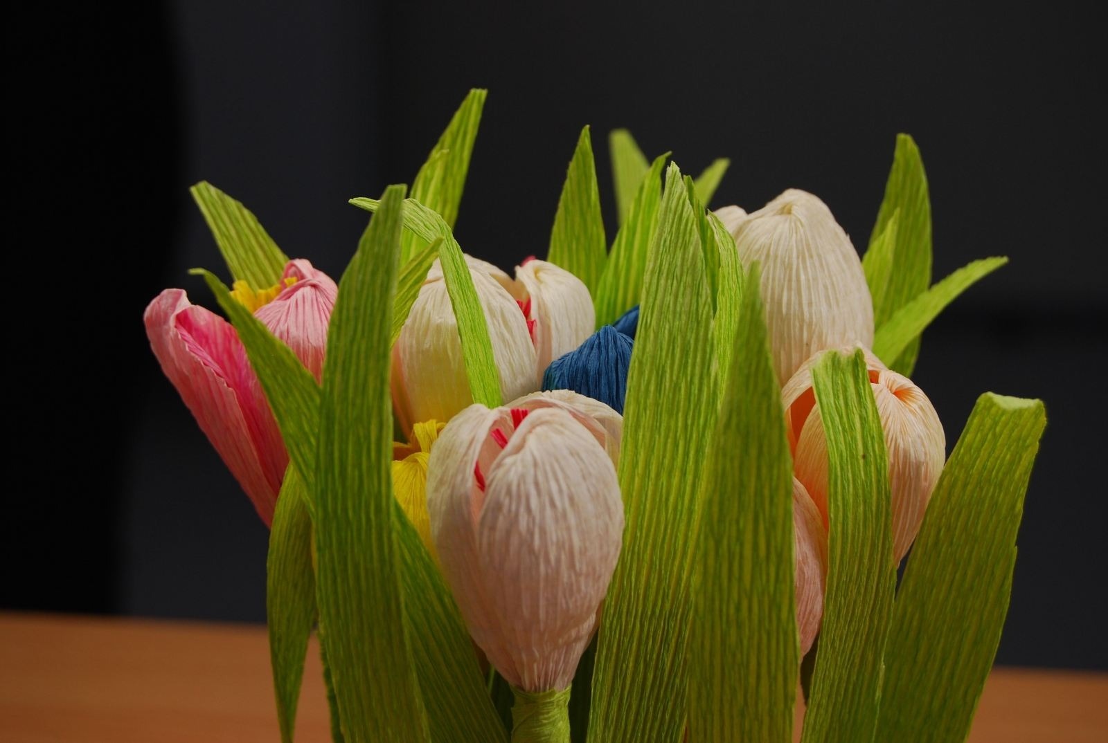 zdjęcie zrobione w ramach kołach fotograficznego