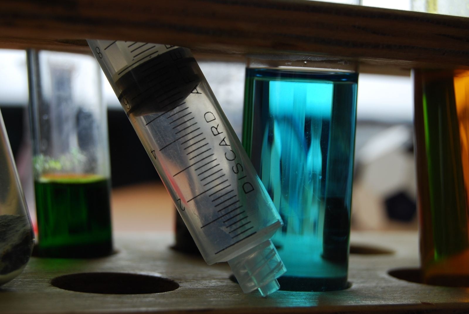 zdjęcie zrobione w ramach kołach fotograficznego