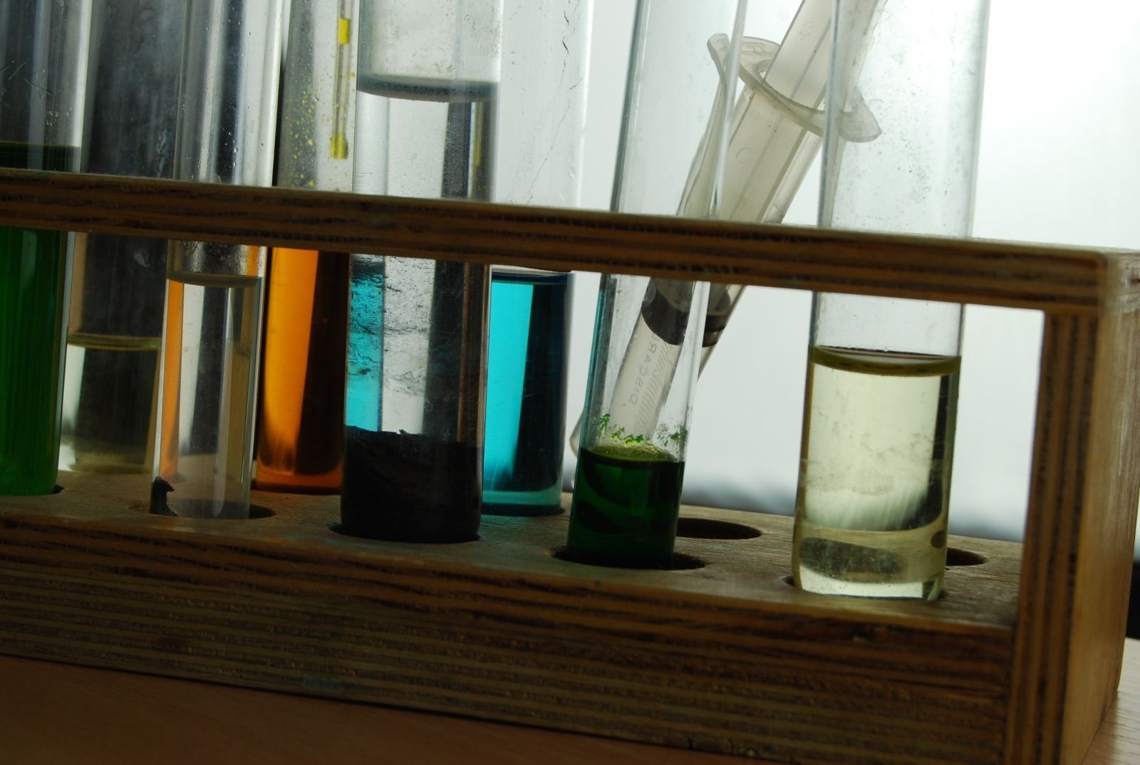 zdjęcie zrobione w ramach kołach fotograficznego