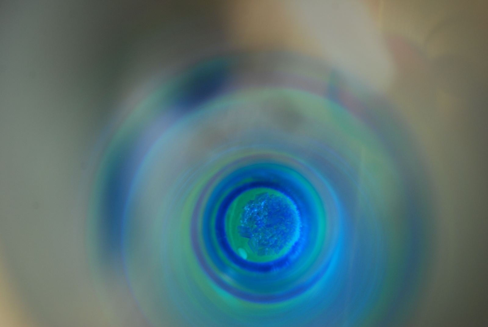 zdjęcie zrobione w ramach kołach fotograficznego