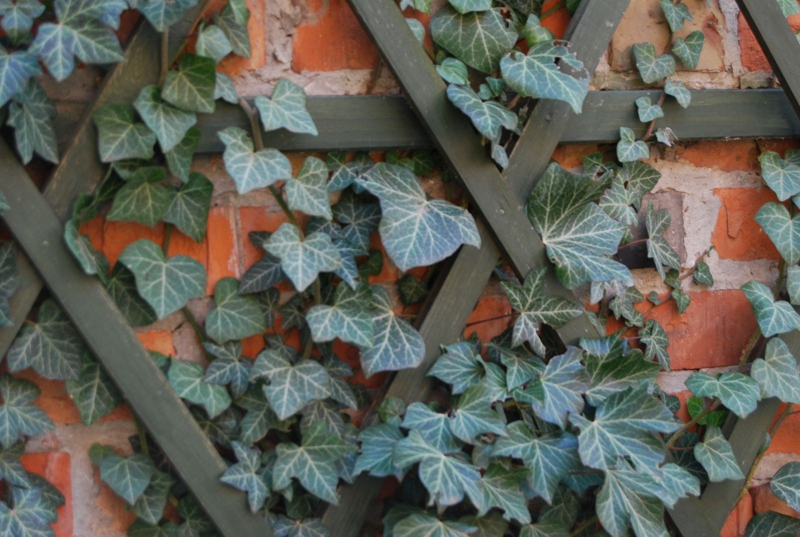 zdjęcie zrobione w ramach kołach fotograficznego