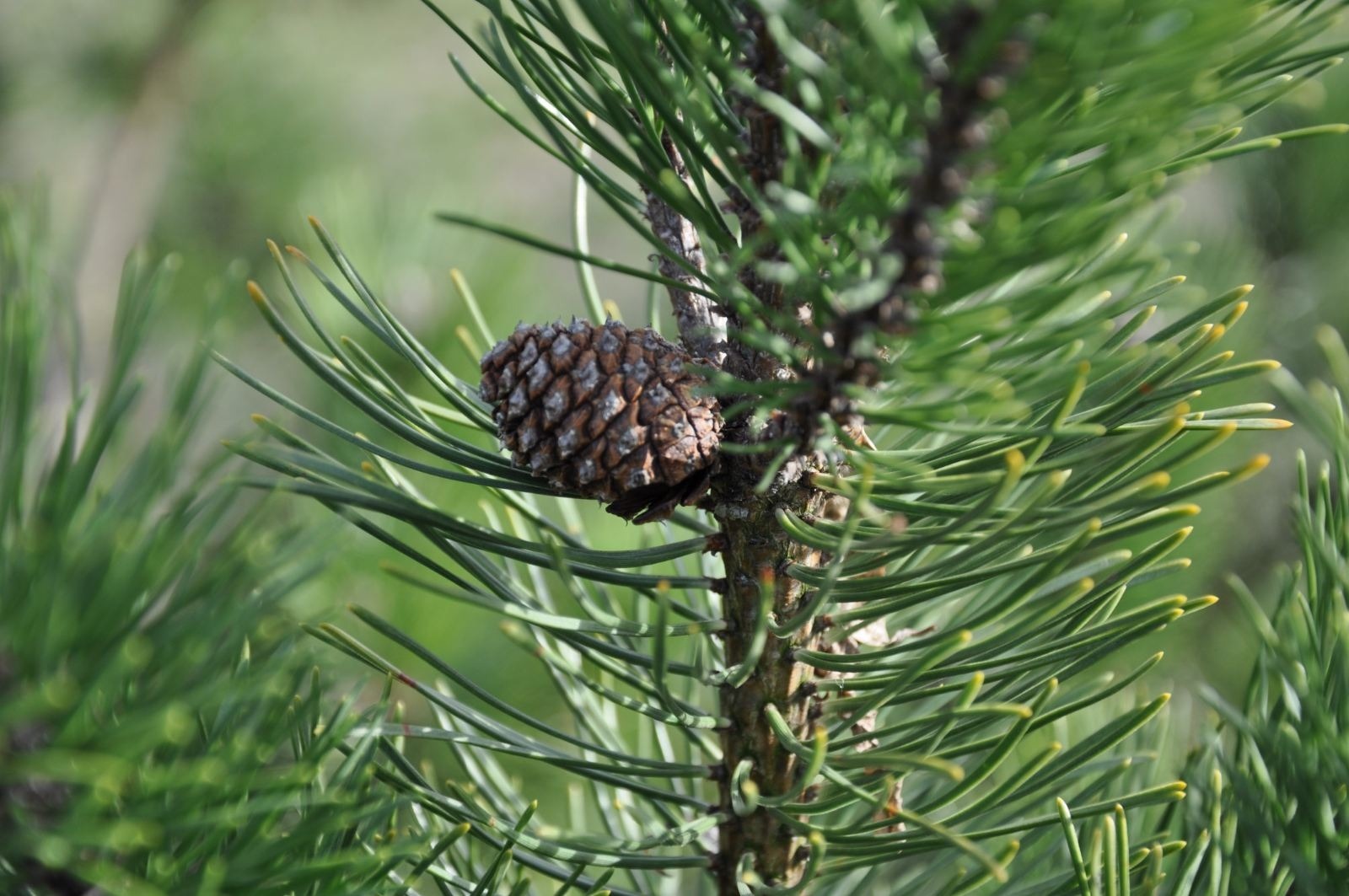 zdjęcie zrobione w ramach kołach fotograficznego
