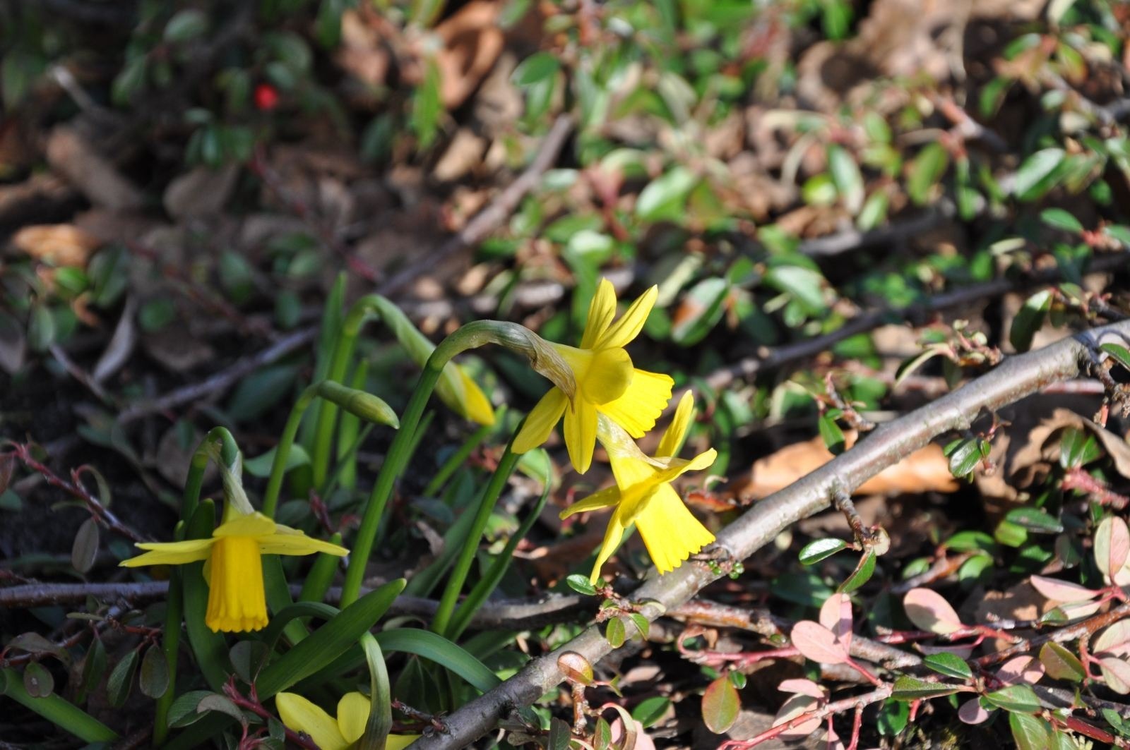 zdjęcie zrobione w ramach kołach fotograficznego