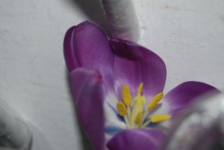 zdjęcie zrobione w ramach kołach fotograficznego