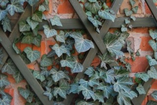 zdjęcie zrobione w ramach kołach fotograficznego