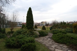 zdjęcie zrobione w ramach kołach fotograficznego