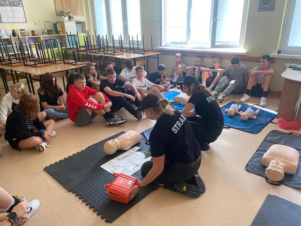 udział w PPP - różne moduły