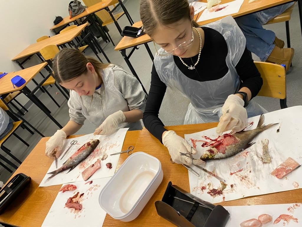 uczestnicy koła wykonują sekcję ryby