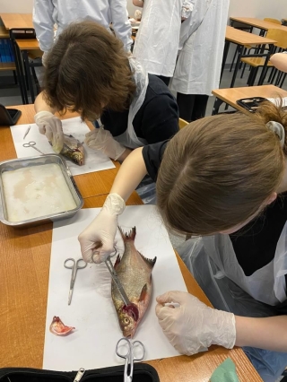 uczestnicy koła wykonują sekcję ryby