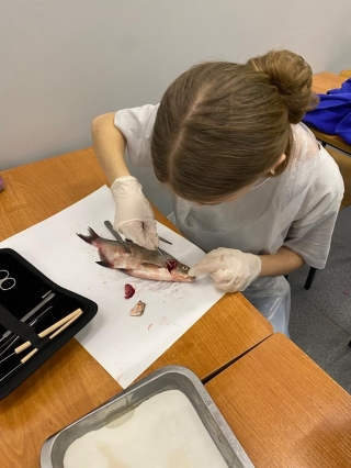 uczestnicy koła wykonują sekcję ryby