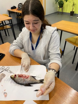 uczestnicy koła wykonują sekcję ryby