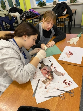 uczestnicy koła wykonują sekcję ryby