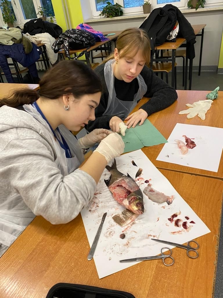 uczestnicy koła wykonują sekcję ryby