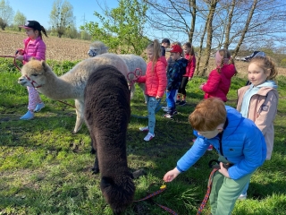 Dzieci z alpaką