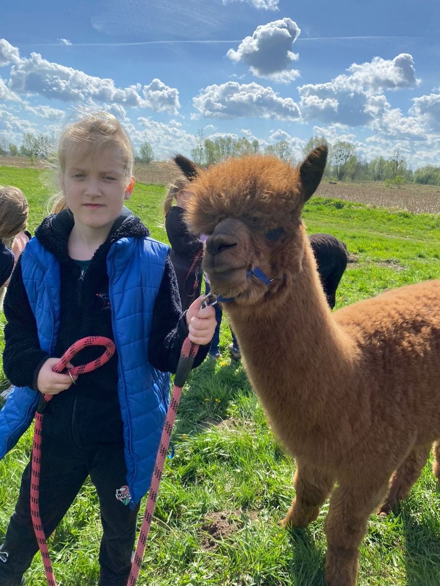 Dzieci z alpaką