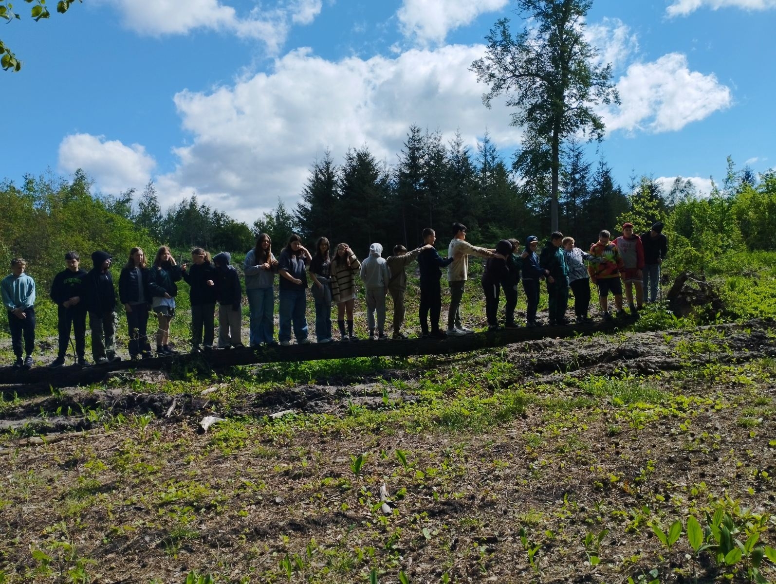 zajęcia ekologiczne