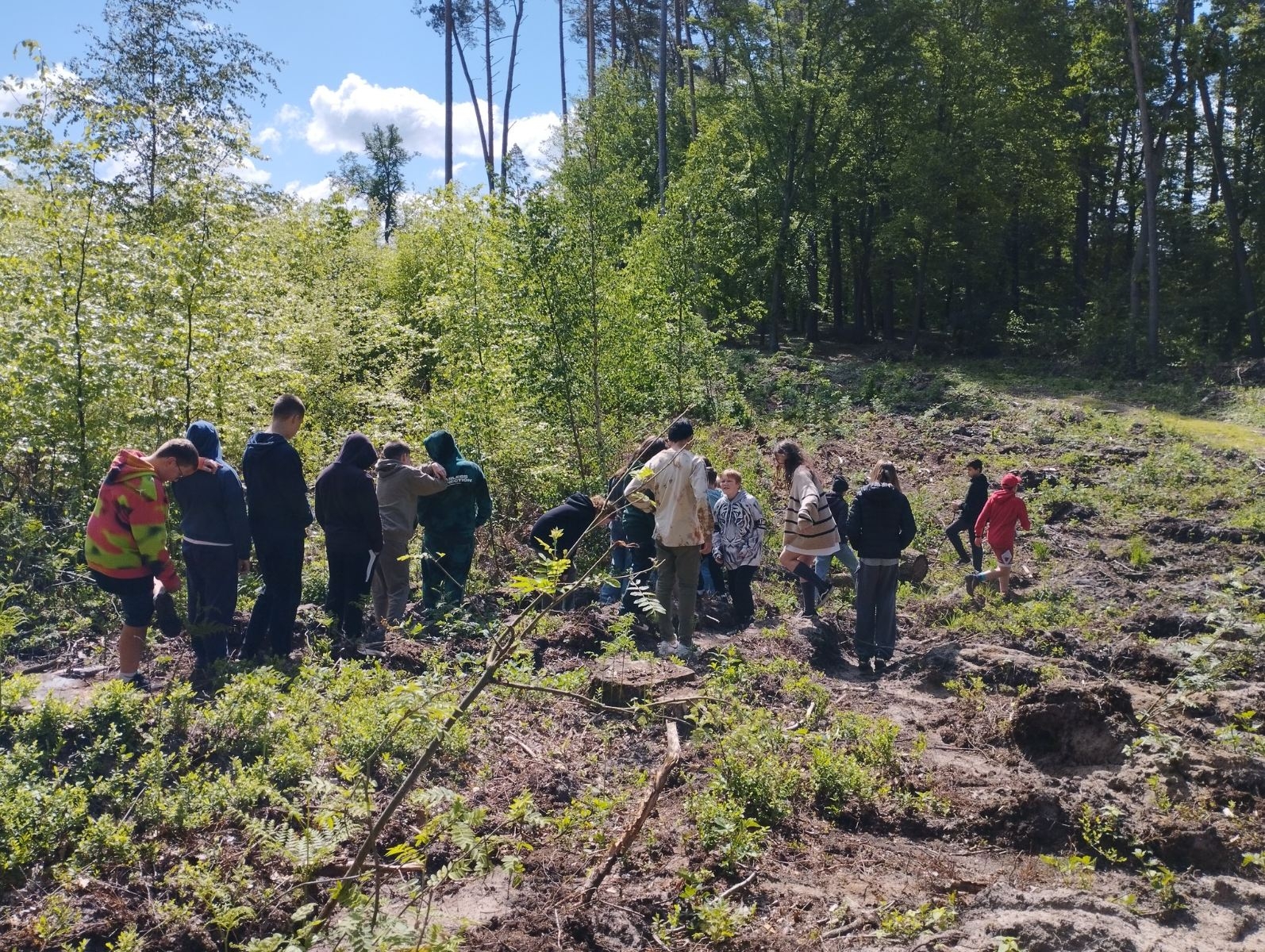 zajęcia ekologiczne