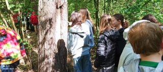 zajęcia ekologiczne