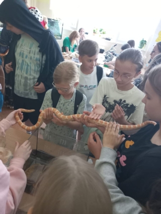 uczniowie podczas zabawy, pokazów, warsztatów