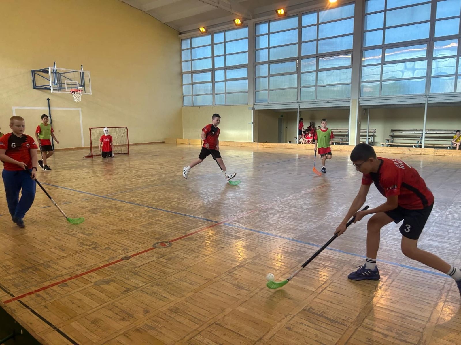 podczas gry w unihokeja