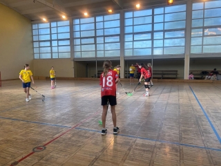 podczas gry w unihokeja