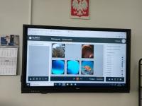 Wycieczka po oceanach i rafach koralowych z okularami VR