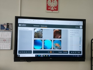 podgląd VR