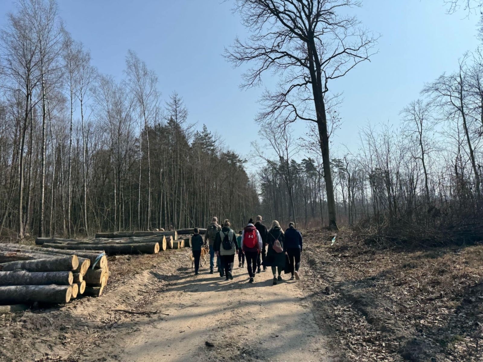 podczas spaceru po lesie