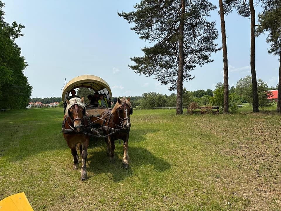 podczas pikniku