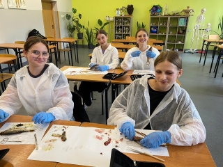 uczniowie klas 7 koła biologicznego na zajęciach