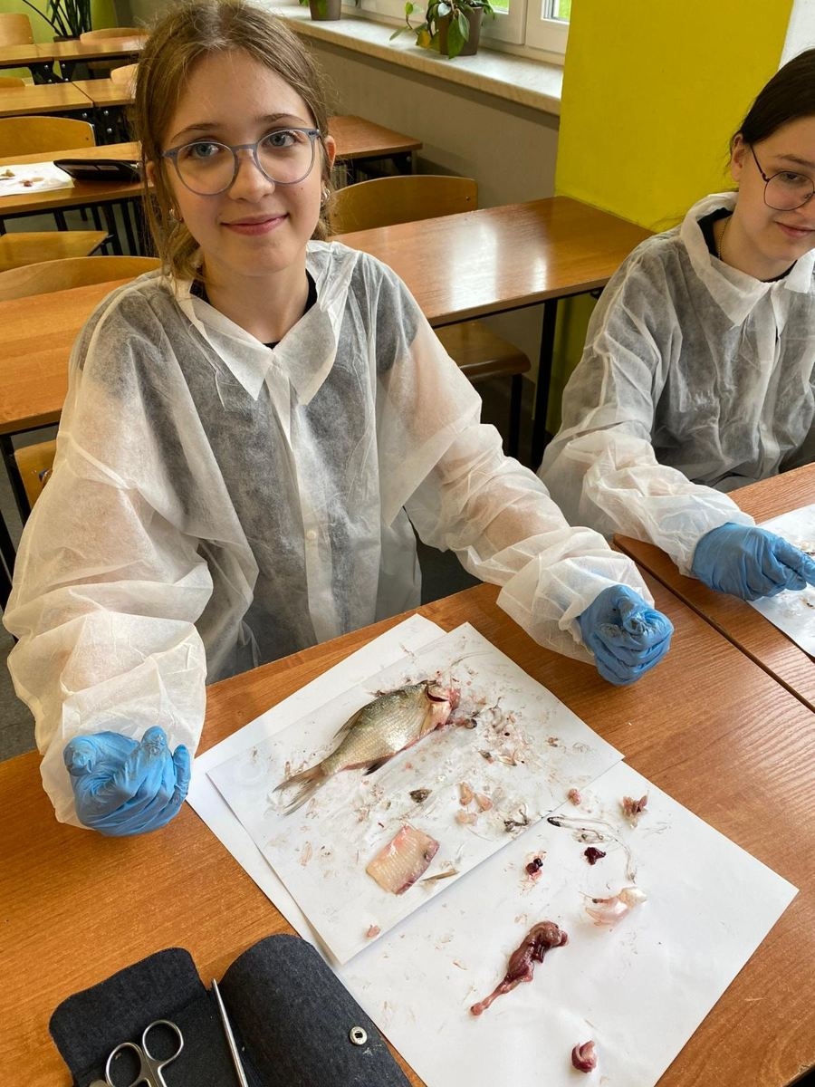 uczniowie klas 7 koła biologicznego na zajęciach