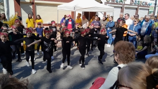 zespół taneczno-wokalny 