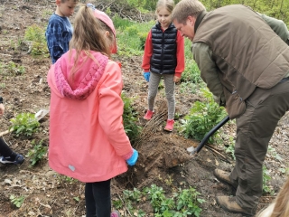 uczniowie sadzą drzewka