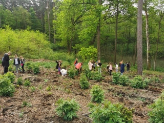uczniowie sadzą drzewka