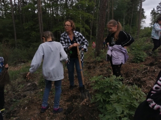 uczniowie sadzą drzewka