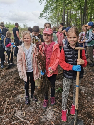 uczniowie sadzą drzewka