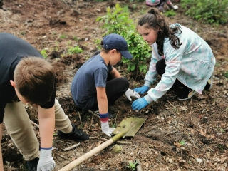 uczniowie sadzą drzewka